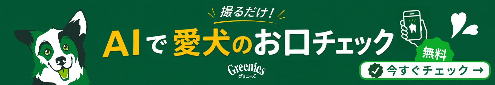 ToothScanBanner_long